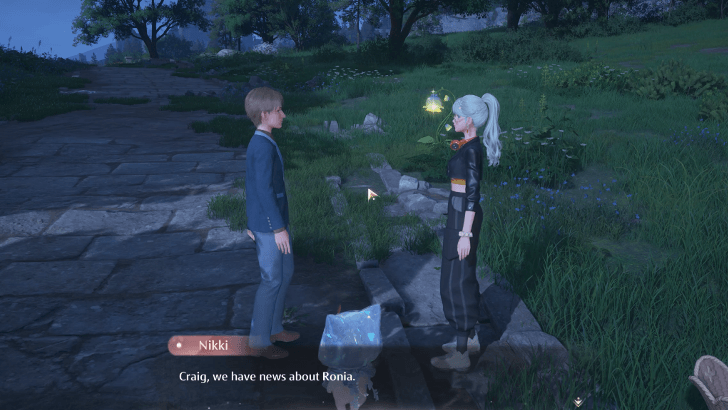 Infinity Nikki - Girl Craig 2