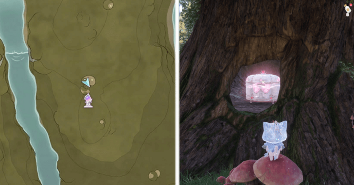 Brown Footprints Chest Location