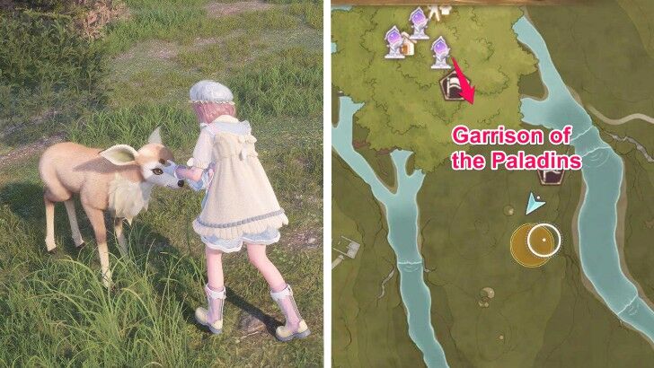 Wreath Fluff Location