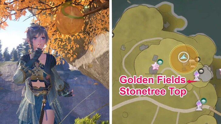 Flight Fruit Location