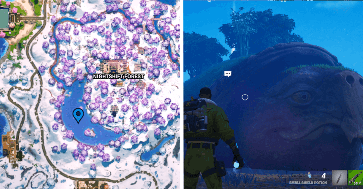 Great Turtle Location 3