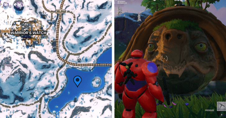 Great Turtle Location 4