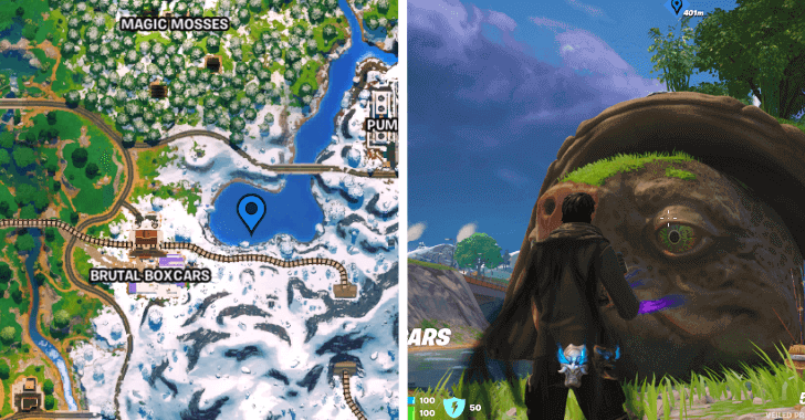 Great Turtle Location 6