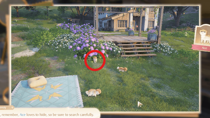 Infinity Nikki - The Floof Triplets  Answer