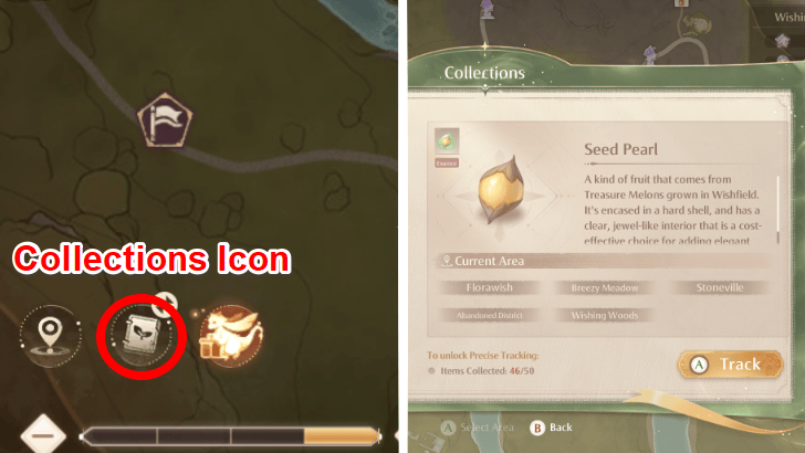 Infinity Nikki Collect Seed Pearls