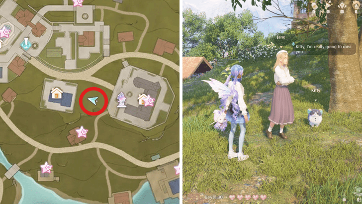 Infinity Nikki Companion