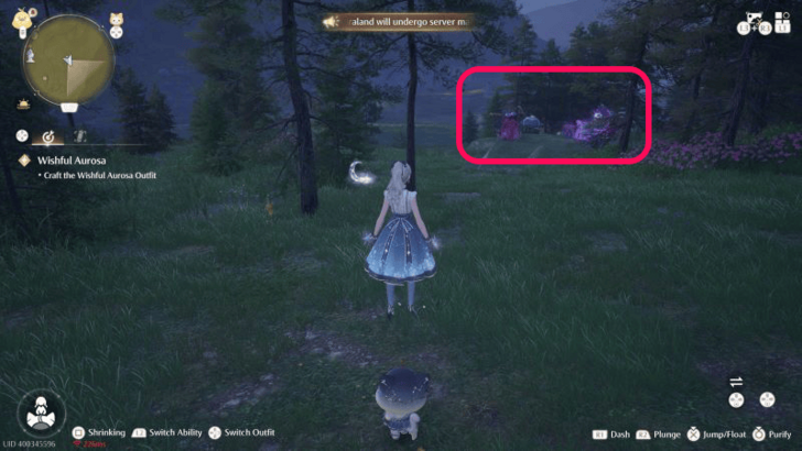 Trap Shark Wishing Woods Overworld Location