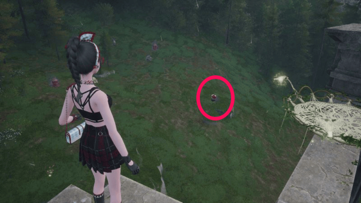 Greedy Pouch Florawish Overworld Location