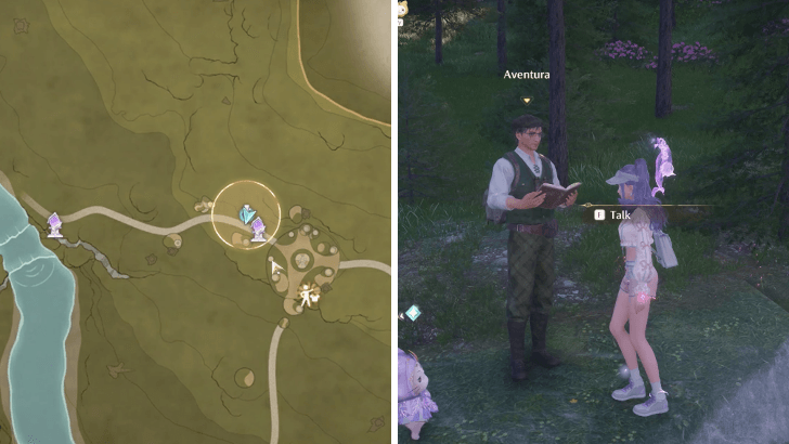 Infinity Nikki Observation: Wish Celebration Center Quest Location