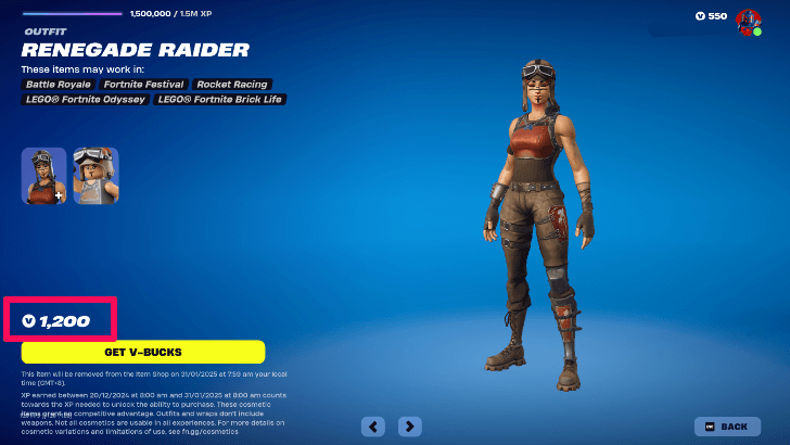 Renegade Raider