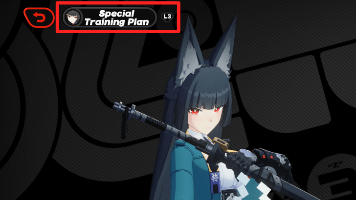 Special Training Plan