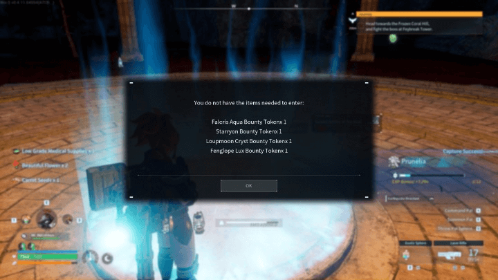 Required for Dungeon Entry