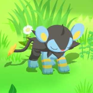 Pokemon Sleep - Sturdy Sleep