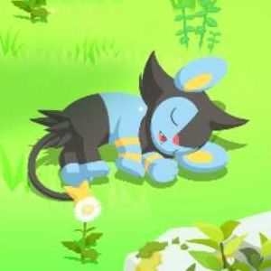 Pokemon Sleep - Curled-Up Sleep