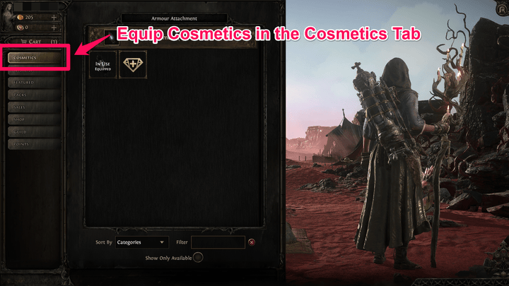 POE 2 - How to Equip Cosmetics
