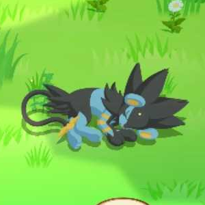 Pokemon Sleep - Curled-Up Sleep