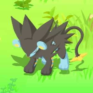 Pokemon Sleep - Sturdy Sleep