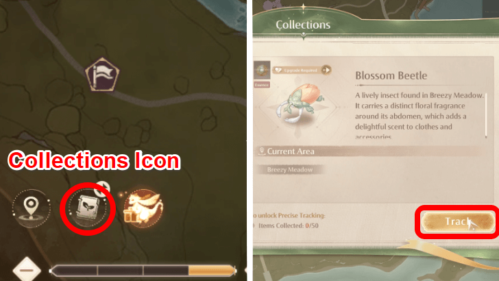 Infinity Nikki Collect Blossom Beetles