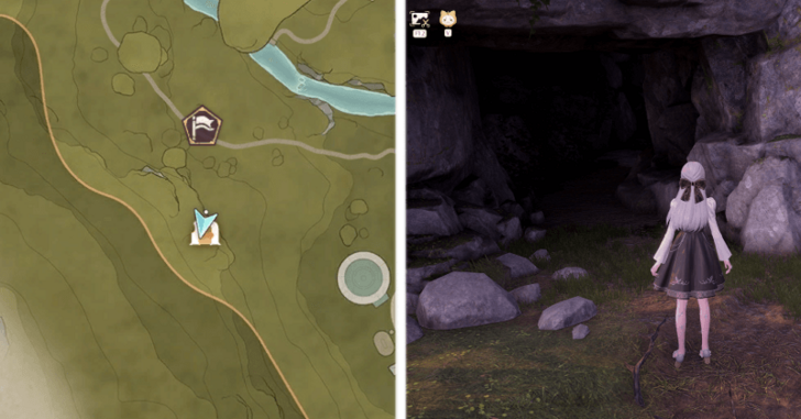 Viney Infusion Location