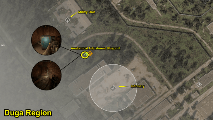 Anatomical Adjustment  Location