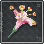 Firecracker Jewelweed