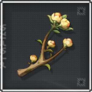 Wuthering Waves - Cassia Bud