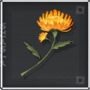 Wuthering Waves - Sunflare Everlasting