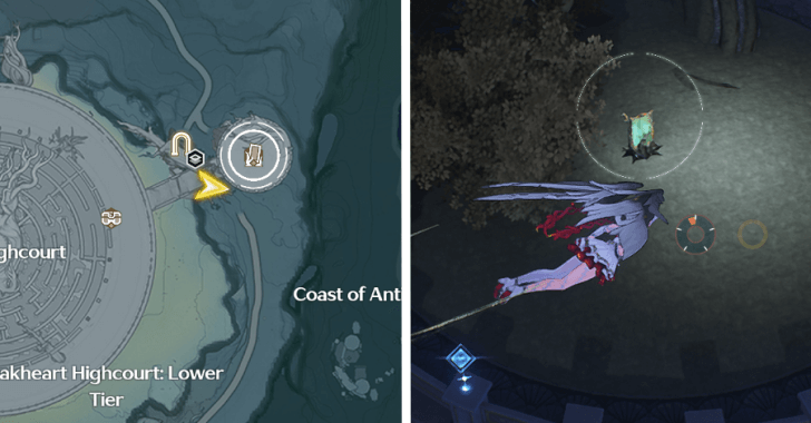 Overflowing Palette - Fagaceae Peninsula 3