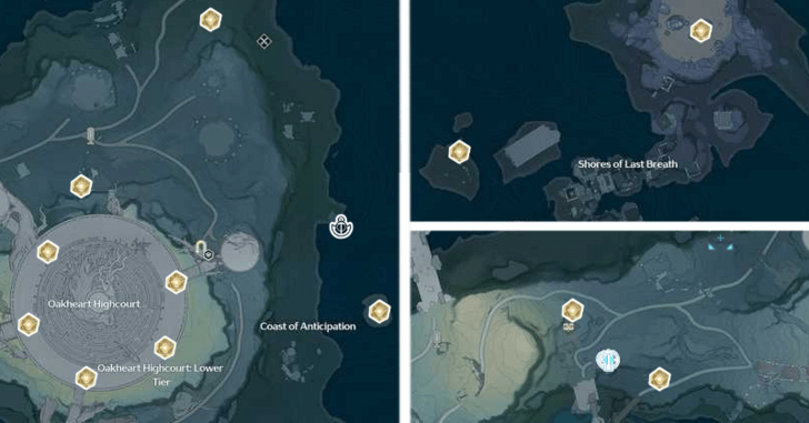 Fagaceae Peninsula Sonance Casket
