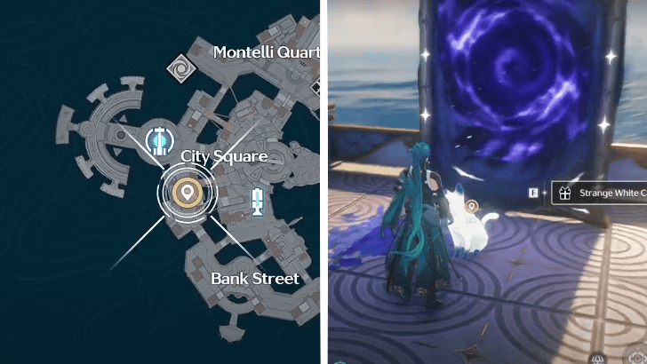 Wuthering Waves - Talk to the Strange White Cat