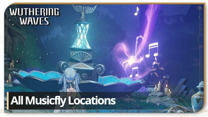 All Musicfly Locations