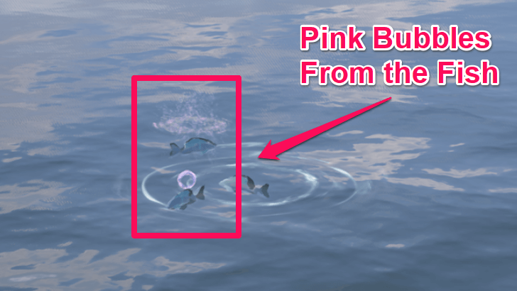 Pink Bubbles From Fish