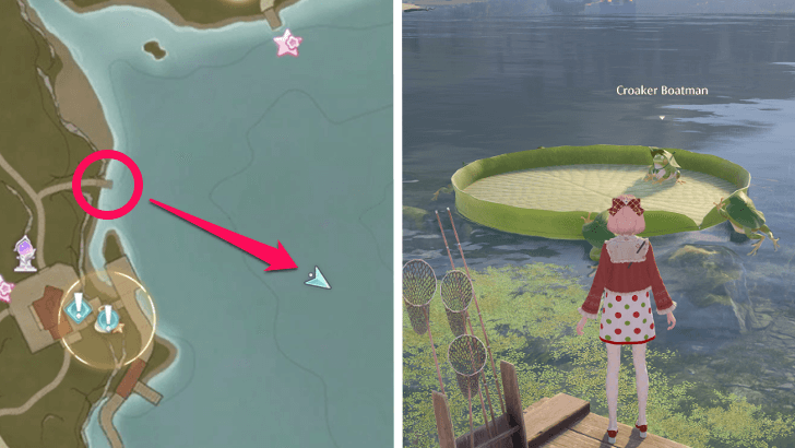 Croaker Boatman Location and Appearance