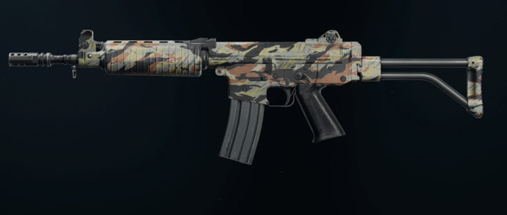Black Ops 6 - Stripe Krig C Camo