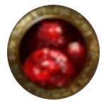 Blood Globules Image