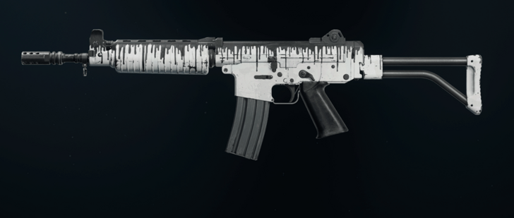 Black Ops 6 - Monochrome Camo