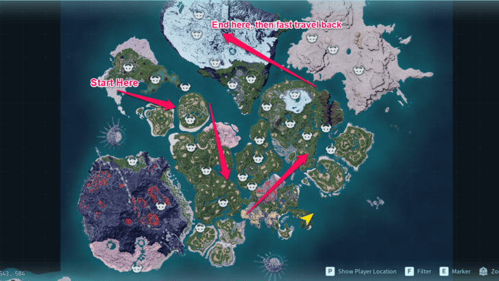 Palworld - Predator Pal Farming Route
