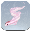 Pink Ribbon Eel