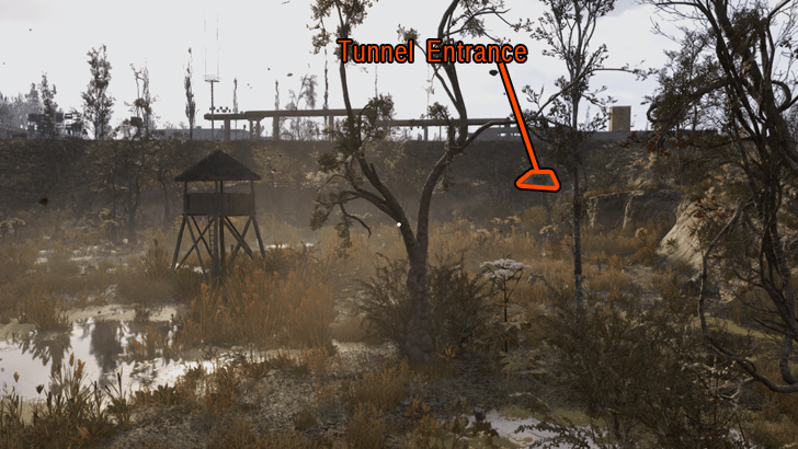 Tunnel Entrance in Swamp