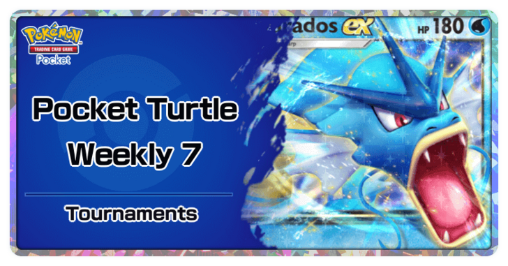 Pocket Turtle Weekly 7