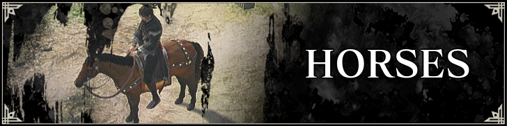 Dynasty Warriors Origins - Horses