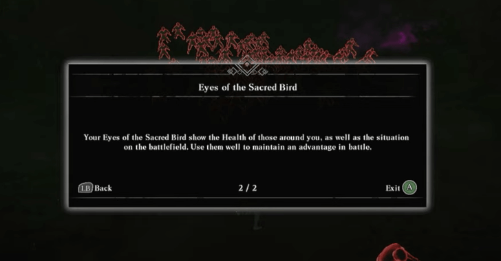 Eyes of the Sacred Bird