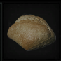 Fresh Bread