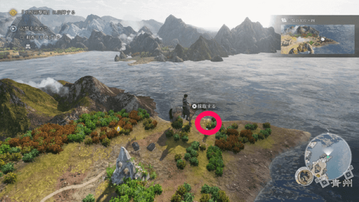 Crimson Cress Overworld Appearance