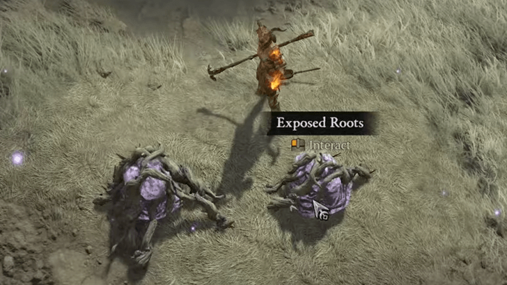 Complete Whisper Bounties