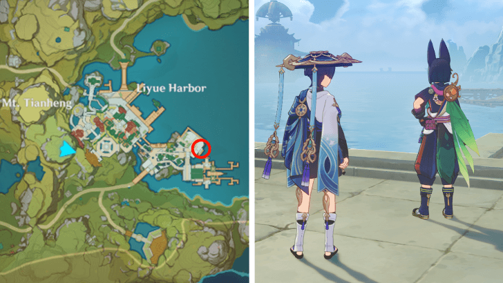 Genshin - Tighnari Location