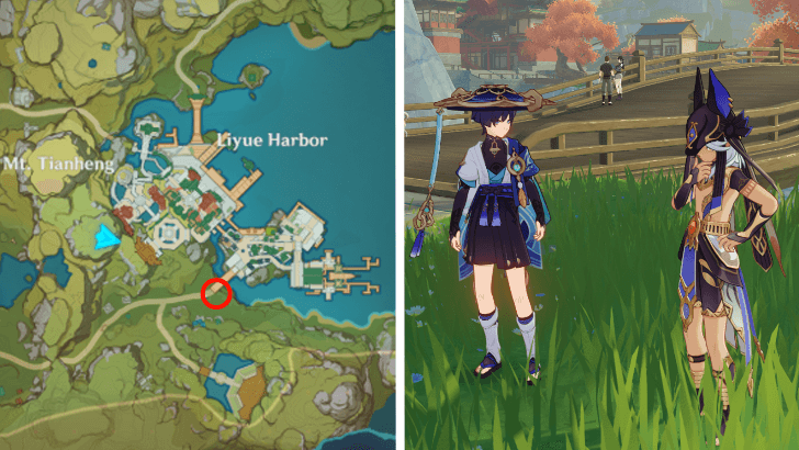 Genshin - Cyno Location
