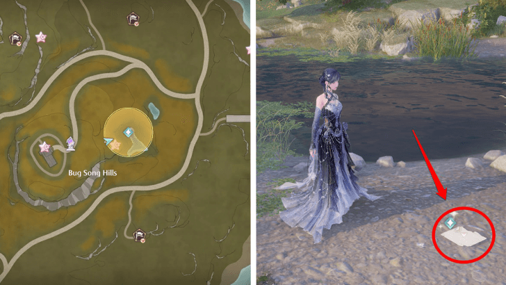 Find the Pages in the Pond