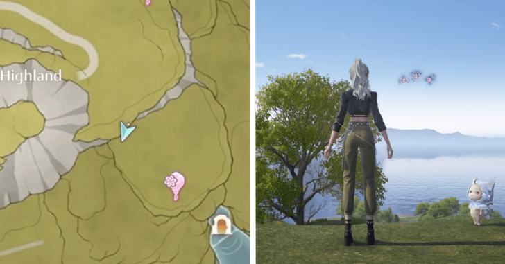 Dew of Firework - Firework Isles - 186-188