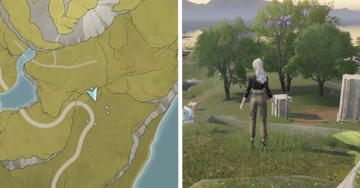 Dew of Firework - Firework Isles - 104-106